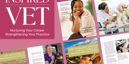 XLVet Members share their inspiring career stories