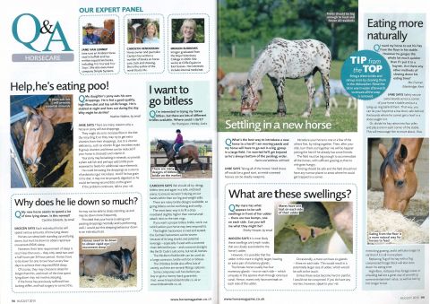 Horse - August 2015