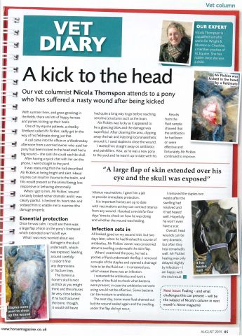 Horse - August 2016