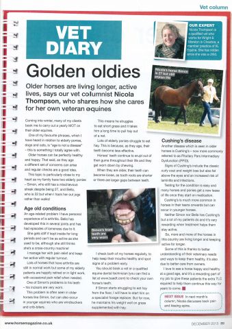 Horse - December 2015