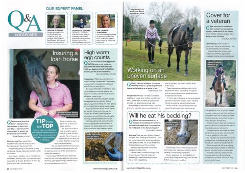 Horse - October 2015