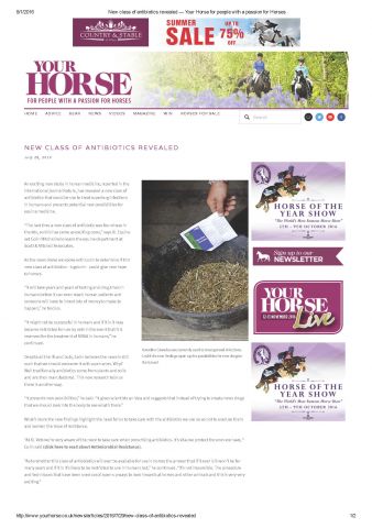 Your Horse - 29th July 2016