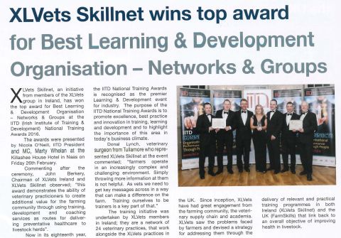 XLVets Ireland - Skillnet Award