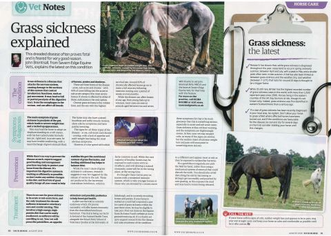 Your Horse - August 2015