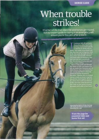 You Horse - May 2015