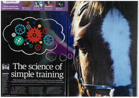 You Horse - September 2015