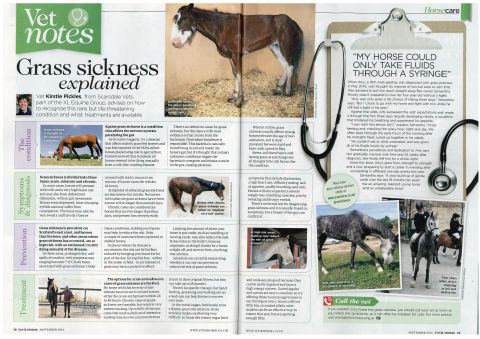 Your Horse - September 2016