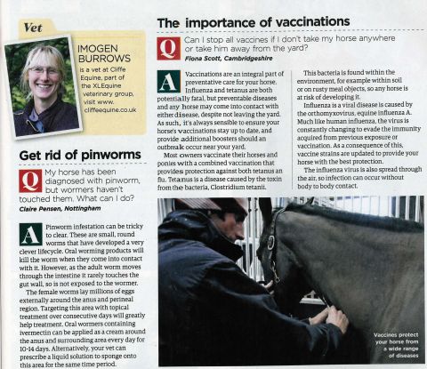 Your Horse - January 2016