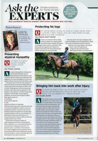 Your Horse - November 2015